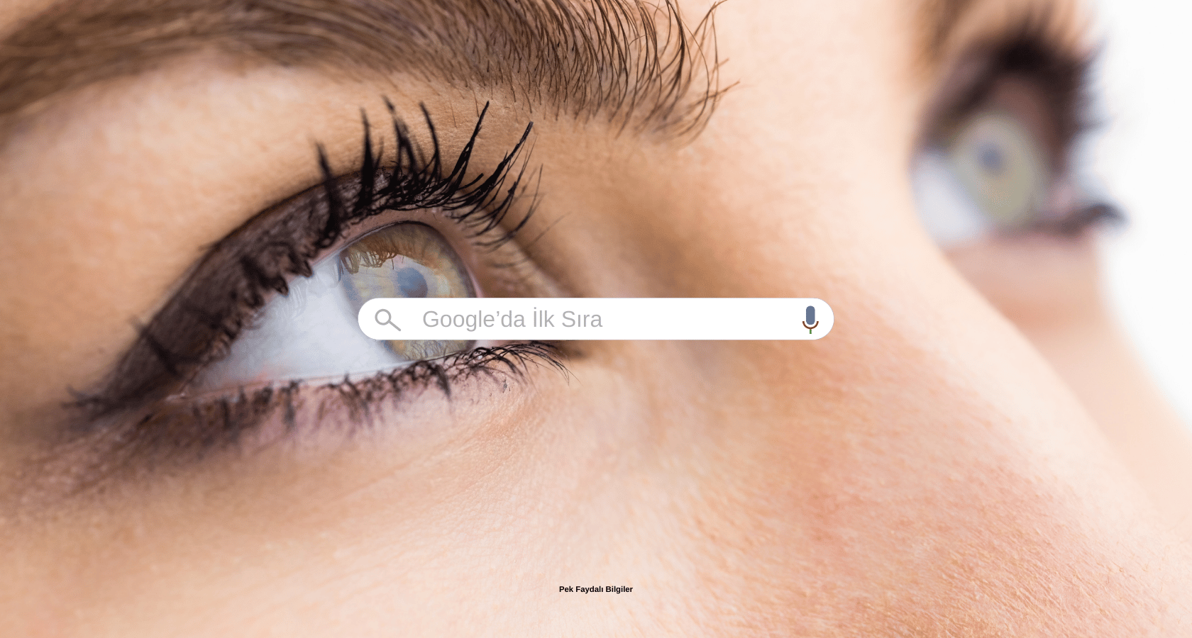 Google'da İlk Sıraya Çıkmak İstiyorum