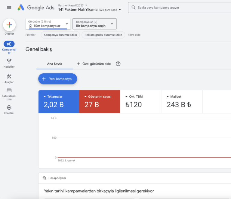 Paktem Halı Yıkama Google Ads projesinin portföy ekran görüntüsü